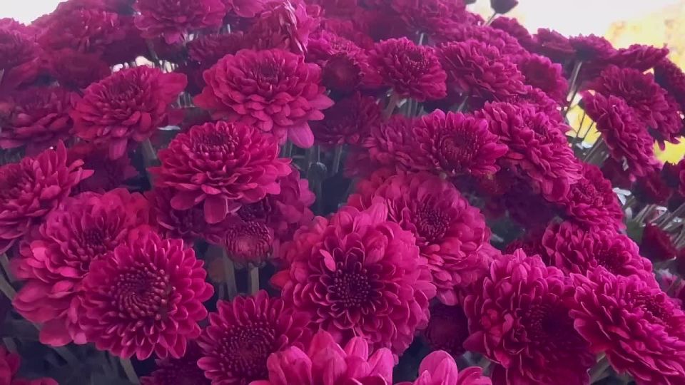 ������ ����!. ����� ���� ���� ��������, ��� ������� � ����� � ��������: