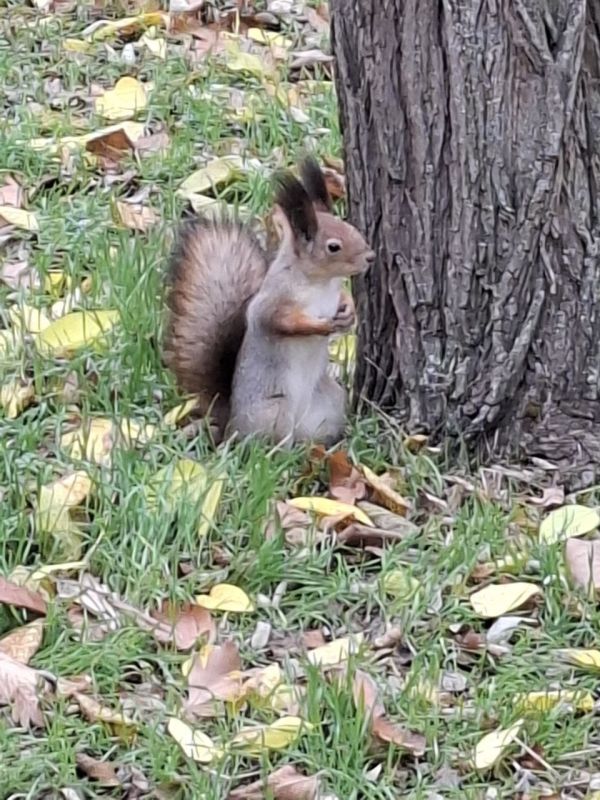 ������� � ������ � ����� ����� ������� �� ������ ��������� ��� ����� ���������� ������� ������� ���� � � ������� ������ ������ � � �������� � ����� �����