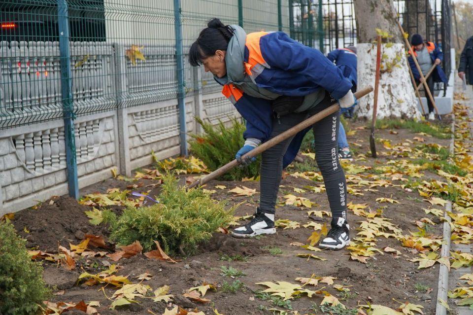 ������ ��������: ������� �������� ������ �� ����������