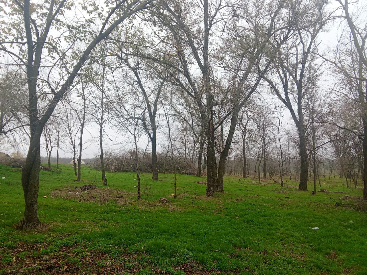 Продолжается благоустройство парковой зоны в поселке Трудовое Продолжается благоустройство парковой зоны в поселке Трудовое