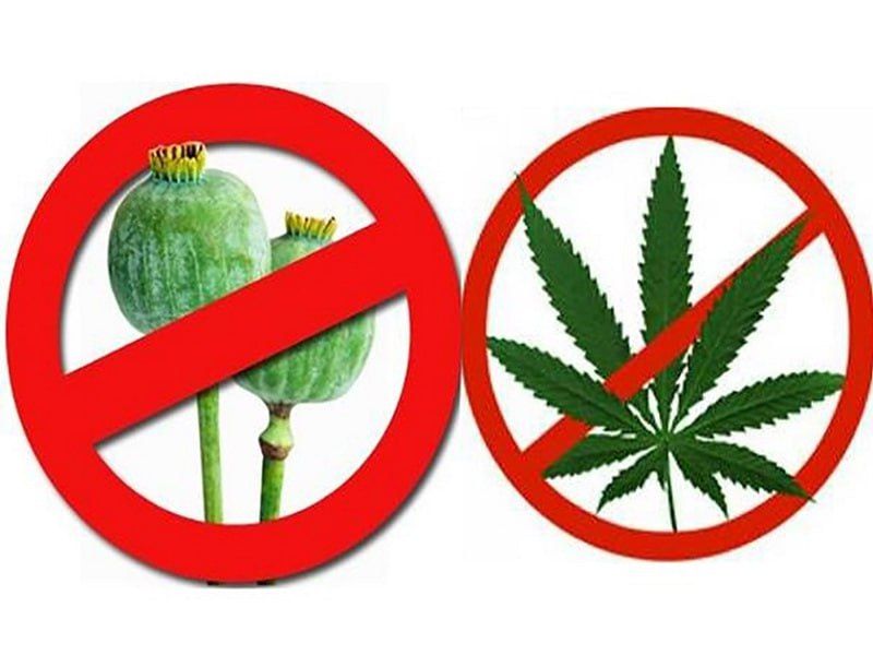 ��������, ������ ��������������� �������������� ������! ��������� ������� ����� ������ �� ��������������� ��������