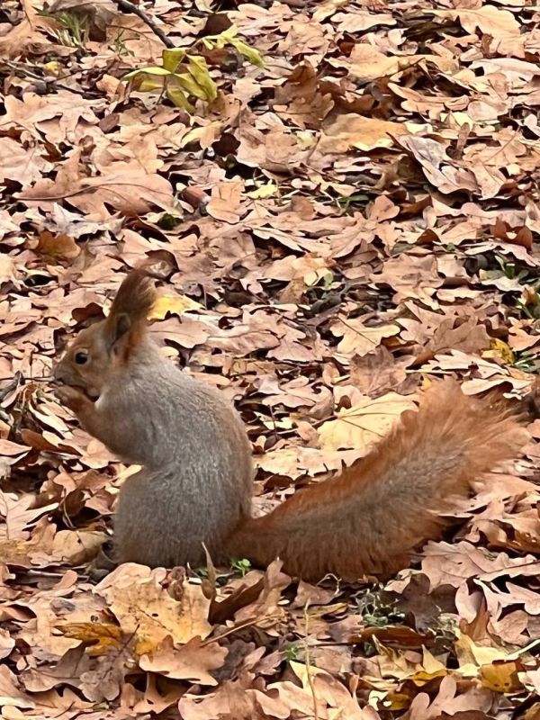 � ��������������� ��������� ������, ���� ��������� ���� �������������� � � ����� �� �����