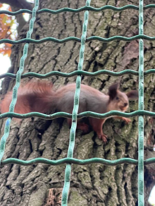 � ��������������� ��������� ������, ���� ��������� ���� �������������� � � ����� �� �����