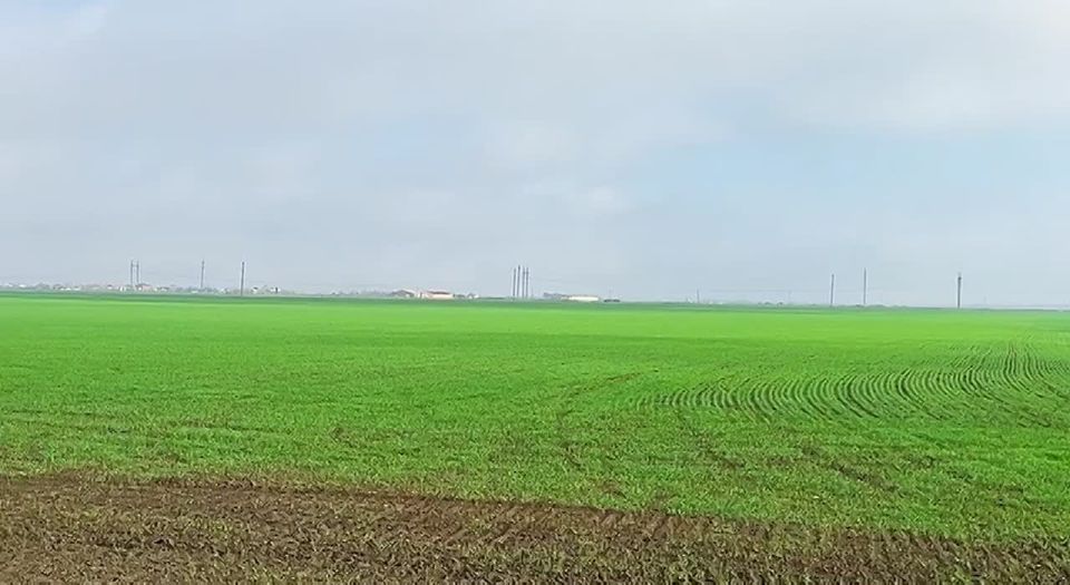 ������ ����! ���� ��������������� �������������� ������ ������ ���� � ������ �������� ������� ����� ����� �������, ��������� � ���, ��� ���� ������������ �������� ����� � �������