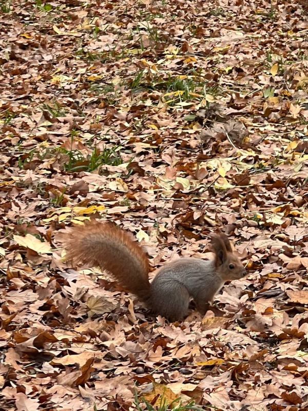 � ��������������� ��������� ������, ���� ��������� ���� �������������� � � ����� �� �����