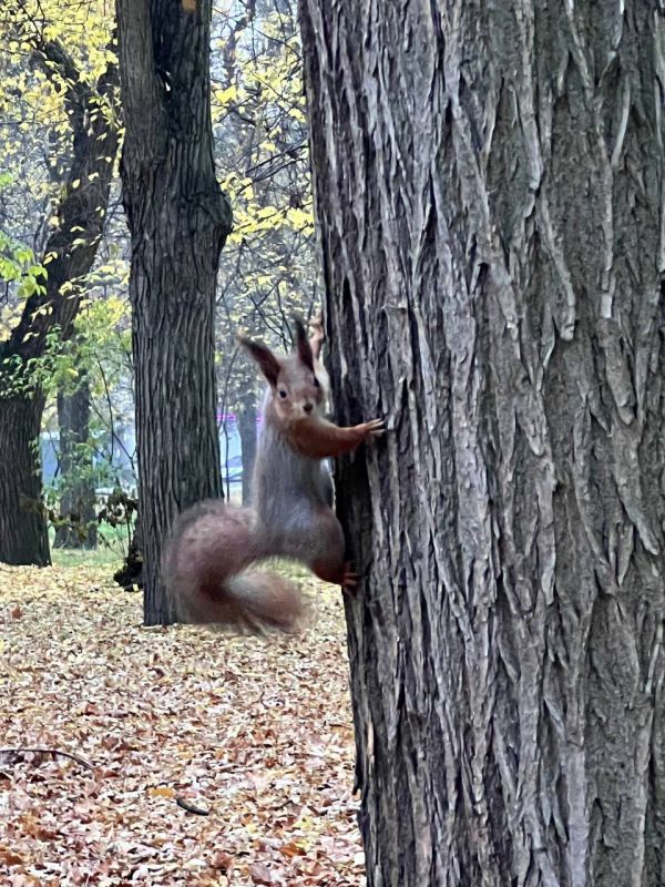 � ��������������� ��������� ������, ���� ��������� ���� �������������� � � ����� �� �����