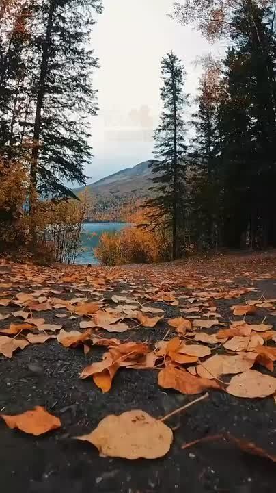 Доброго утра , дорогие Мелитопольцы!