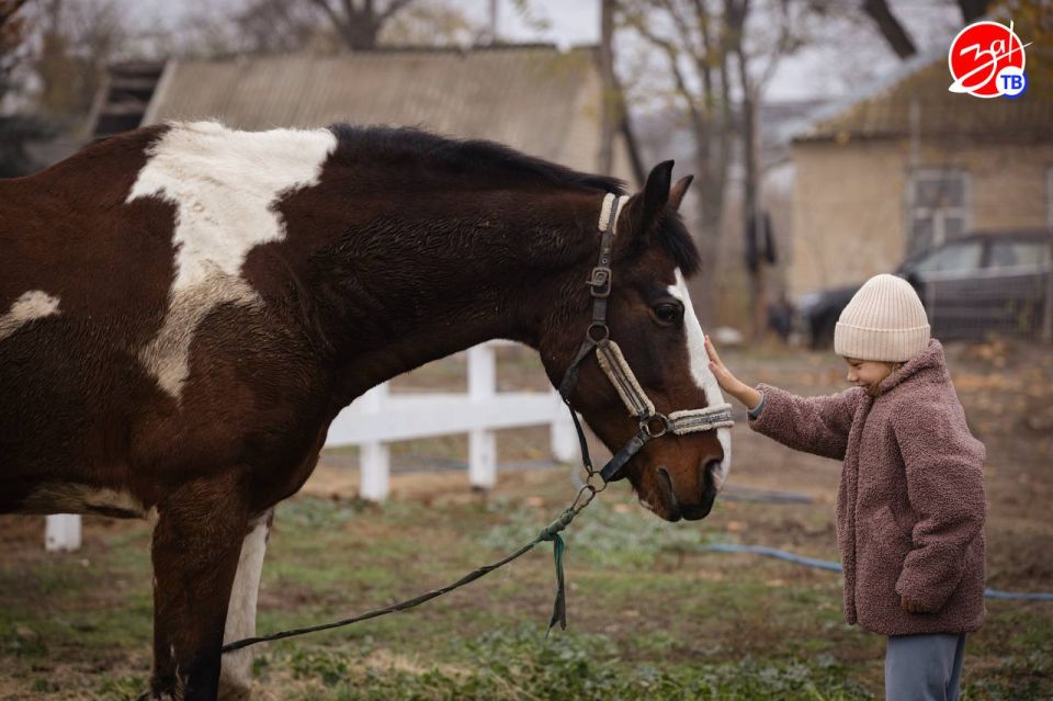 � �����-���������� ��������� ������ ��������� ���������