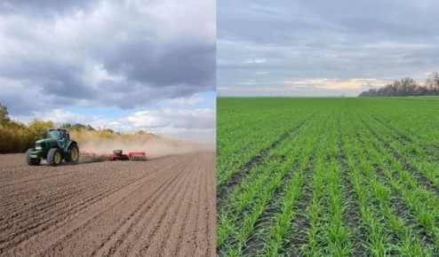 В Запорожской области завершается посевная кампания под урожай 2026 года