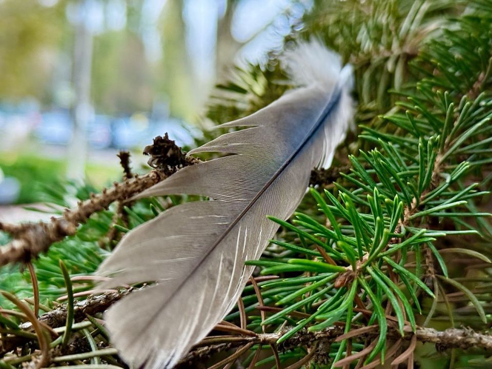 ������ ����! ���������� ����� ���������� � ���� ������ ����������� ���������