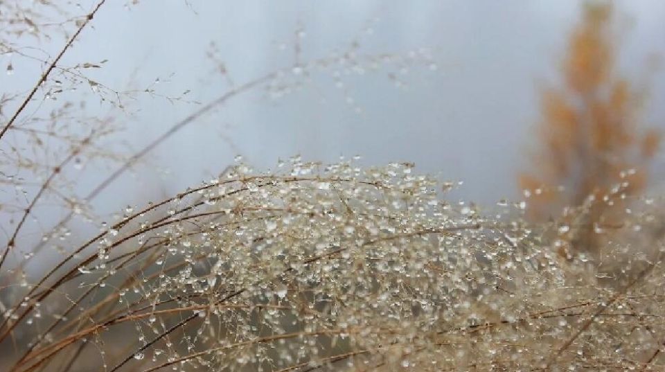 ������ ����!. ������� -������ ��������