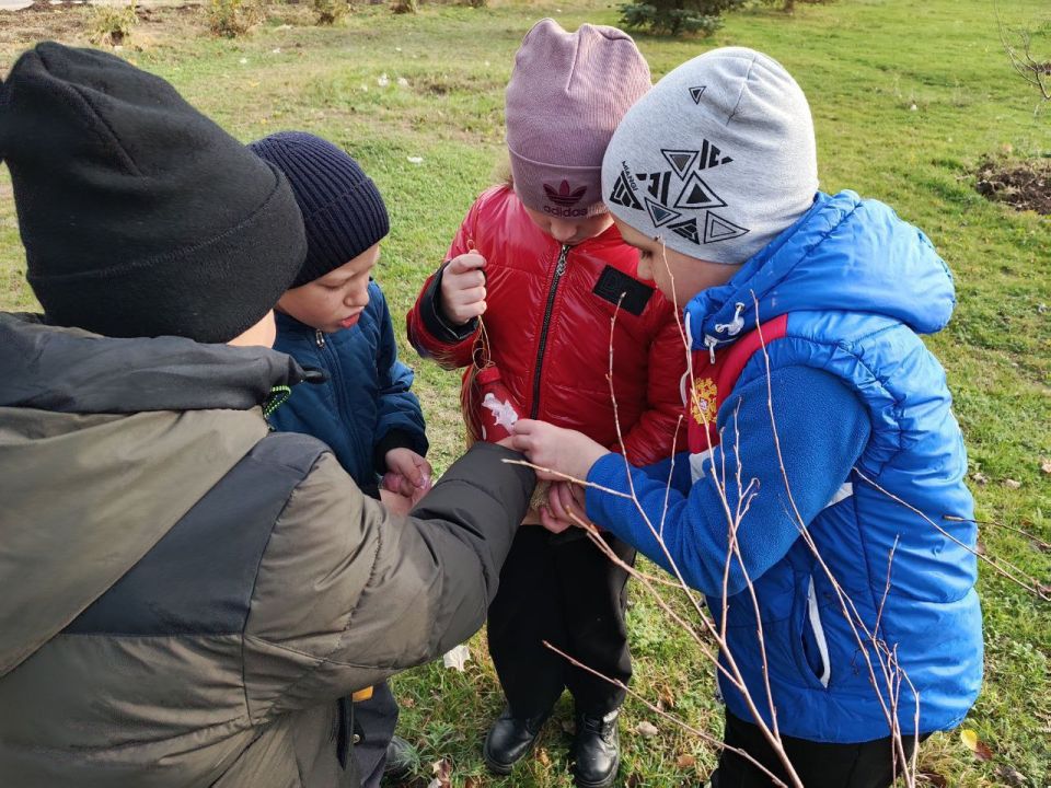 ������������� �������� � �������� ����