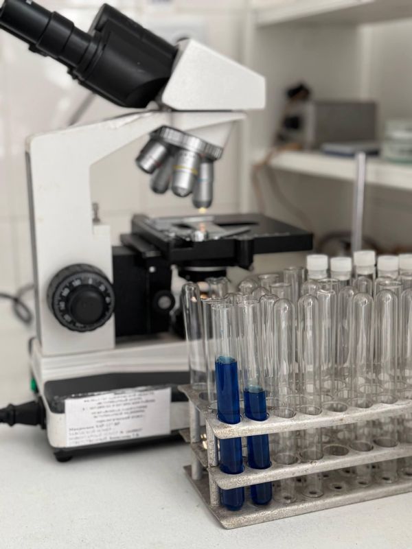 ��� � ����������� ������� ������������ �������� �������� � ������������ ���������