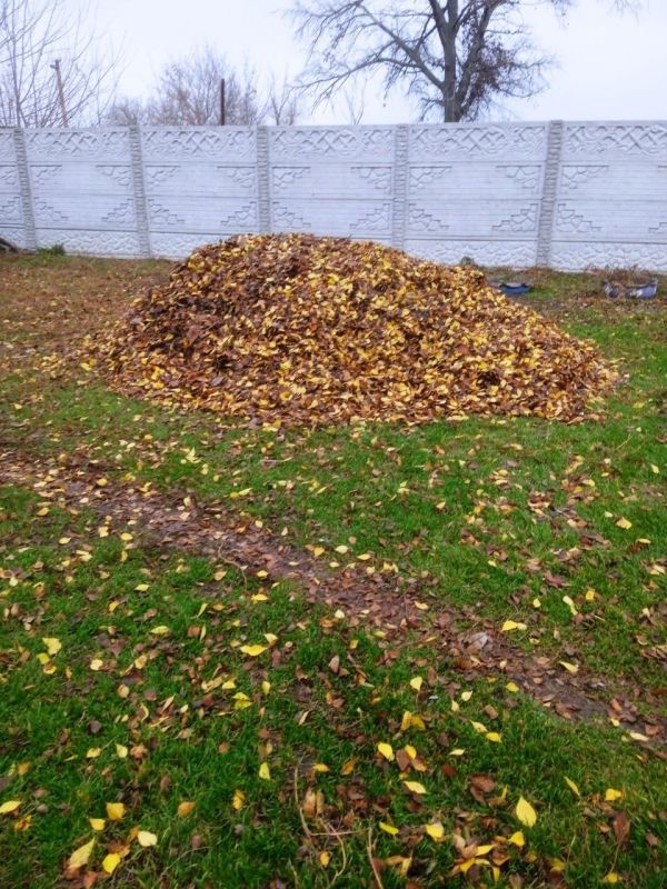 ���������� ��� ���������� ������� ������ ���������� � ���� ������