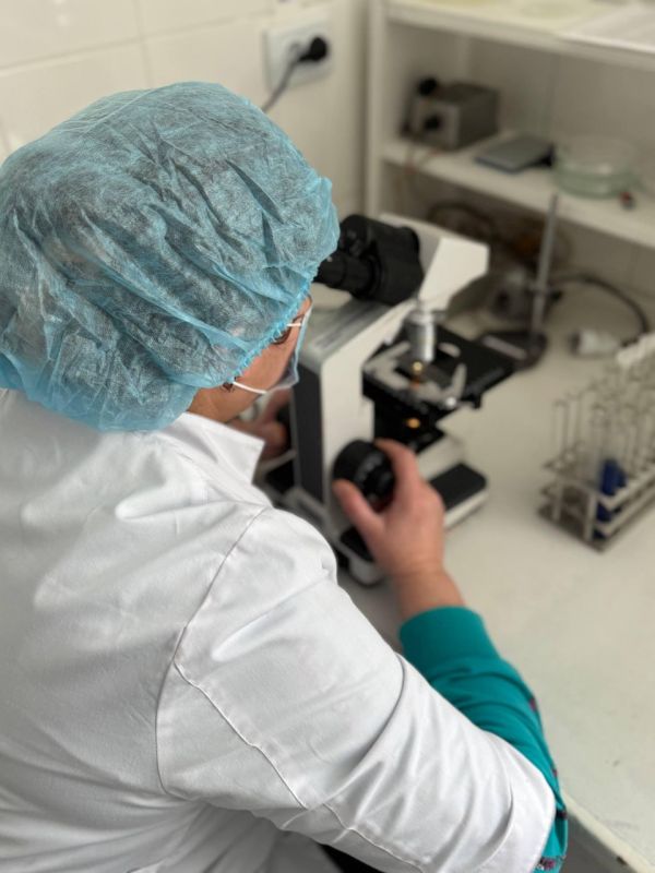 ��� � ����������� ������� ������������ �������� �������� � ������������ ���������