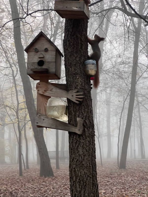 ������������� ���� ����� (���� ������ �����) ���������� 17 ������