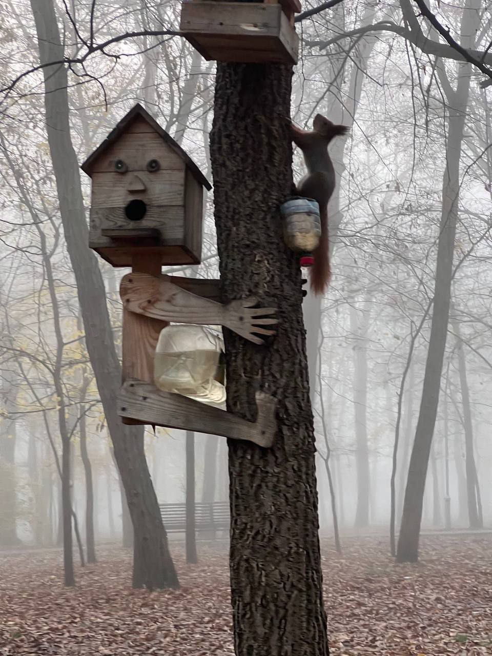 Международный день белки (День защиты белок) отмечается 17 ноября Международный день белки (День защиты белок) отмечается 17 ноября