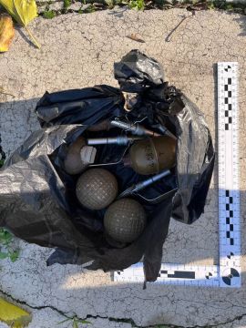 Мелитополец обнаружил ручные гранаты во время уборки