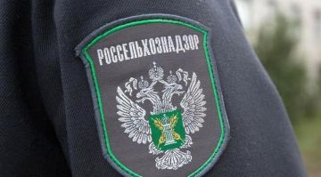 Предприниматель из Запорожской области попался на нарушении ветзаконодательства