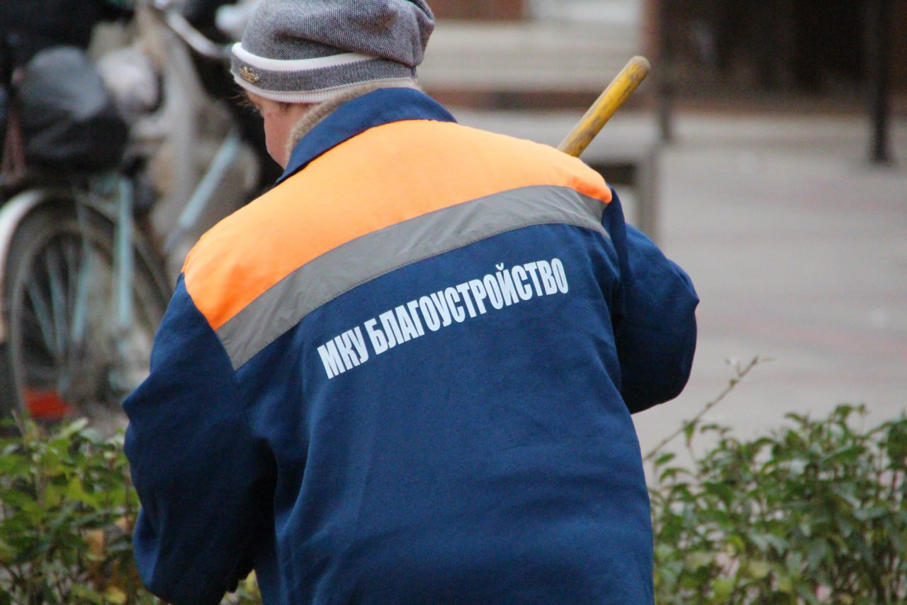 Коммунальщики Мелитополя провели уборку опавшей листвы Коммунальщики Мелитополя провели уборку опавшей листвы