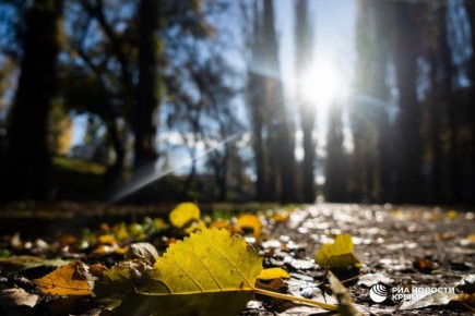 Погода на новых территориях России