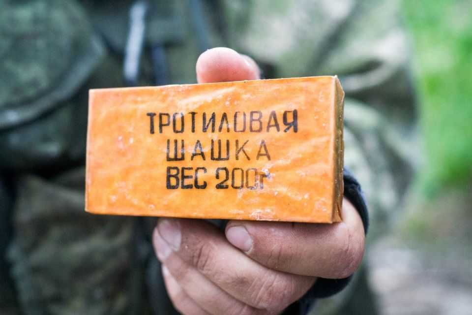 На 6 лет отправится в колонию житель Мелитополя за незаконное хранение взрывных устройств