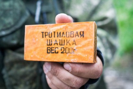 На 6 лет отправится в колонию житель Мелитополя за незаконное хранение взрывных устройств