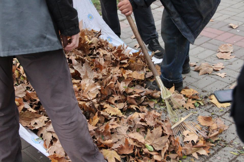 ������������� ���������� ������� ������ ������� ������