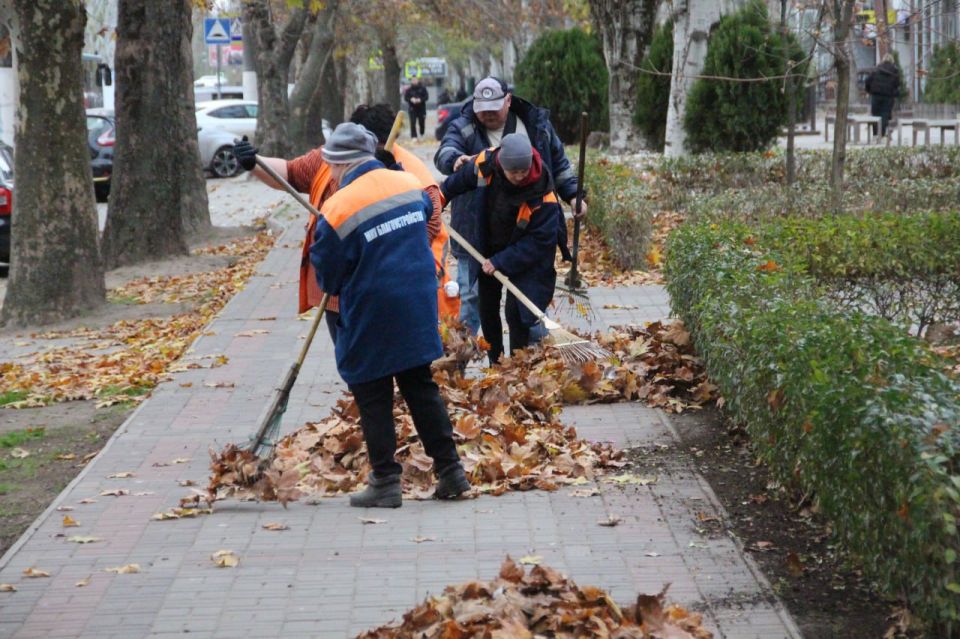 ������������� ���������� ������� ������ ������� ������