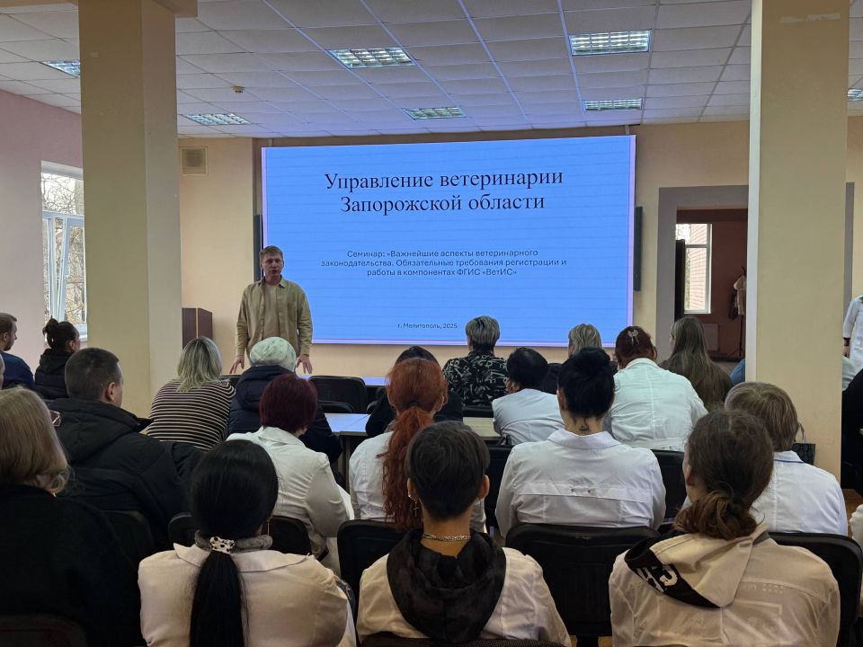 ����������� � �����: ��������� �������� ����������� ������������ ����������� �������