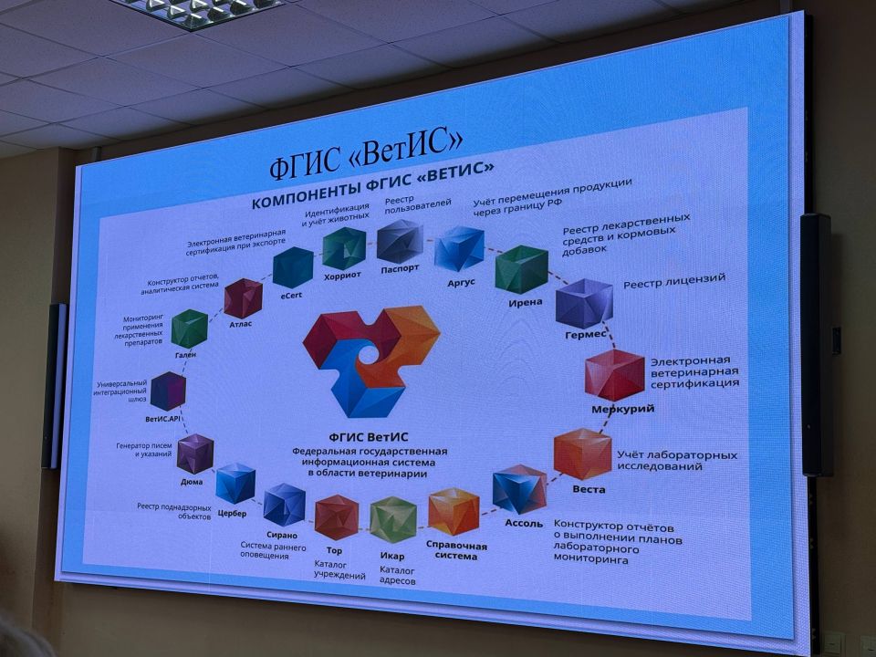 ����������� � �����: ��������� �������� ����������� ������������ ����������� �������