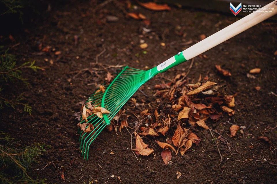 �������� �������: ���������� ������� ������� ��������� �� ��������� � ���� ���������