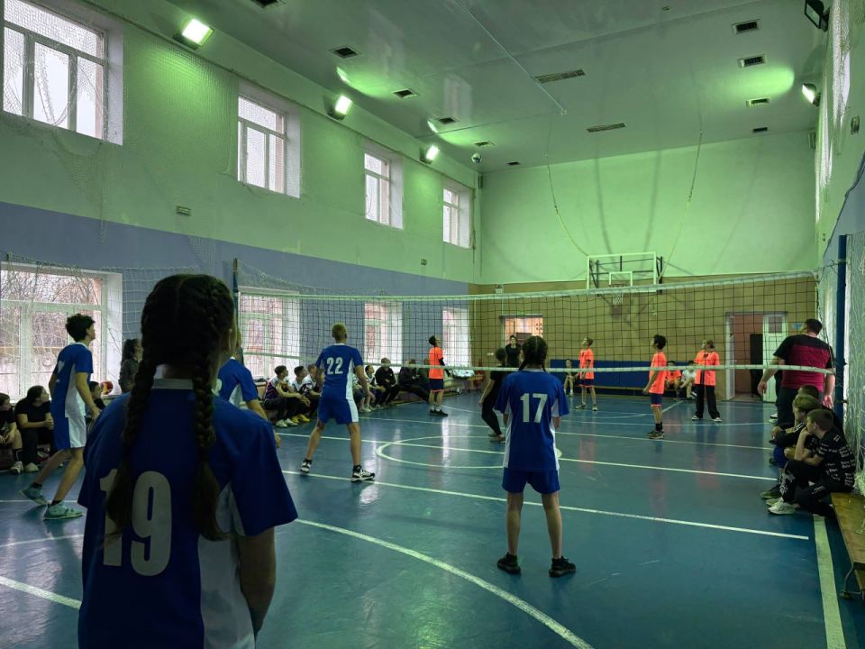 � ���������������� ��� �49 ������ ������������� ����������� �� ��������� ����� 6 ���� ��������������� �������������� ������