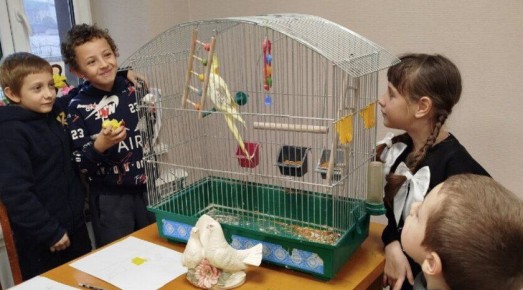 В Светлодолинском провели экологическое занятие о зимующих птицах