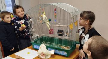 В Светлодолинском провели экологическое занятие о зимующих птицах