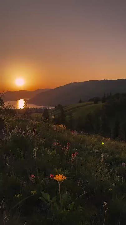 Доброе утро!. Пусть этот понедельник начнётся легко — с тёплого солнца, хорошего настроения и маленькой, но важной победы