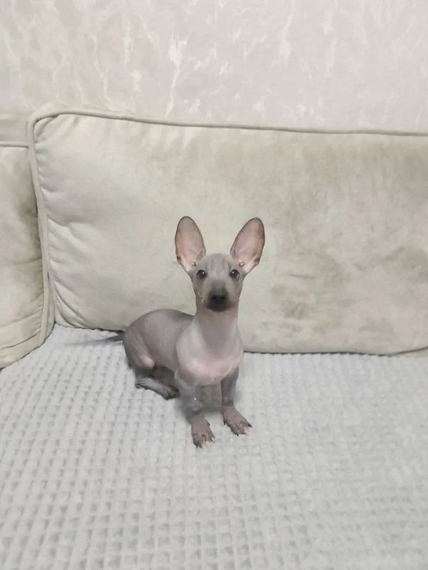 ������ ����! Ҹ���� ������ ��� �� ���� �������� � �� ���������� ������� � � ������� ������ ����!