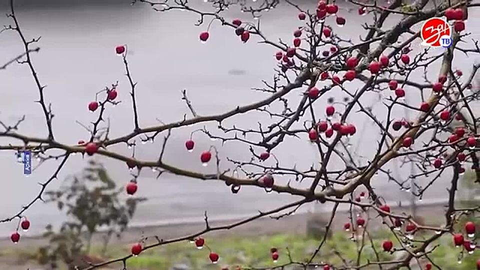 ����� ������� �������� � ����������� �������