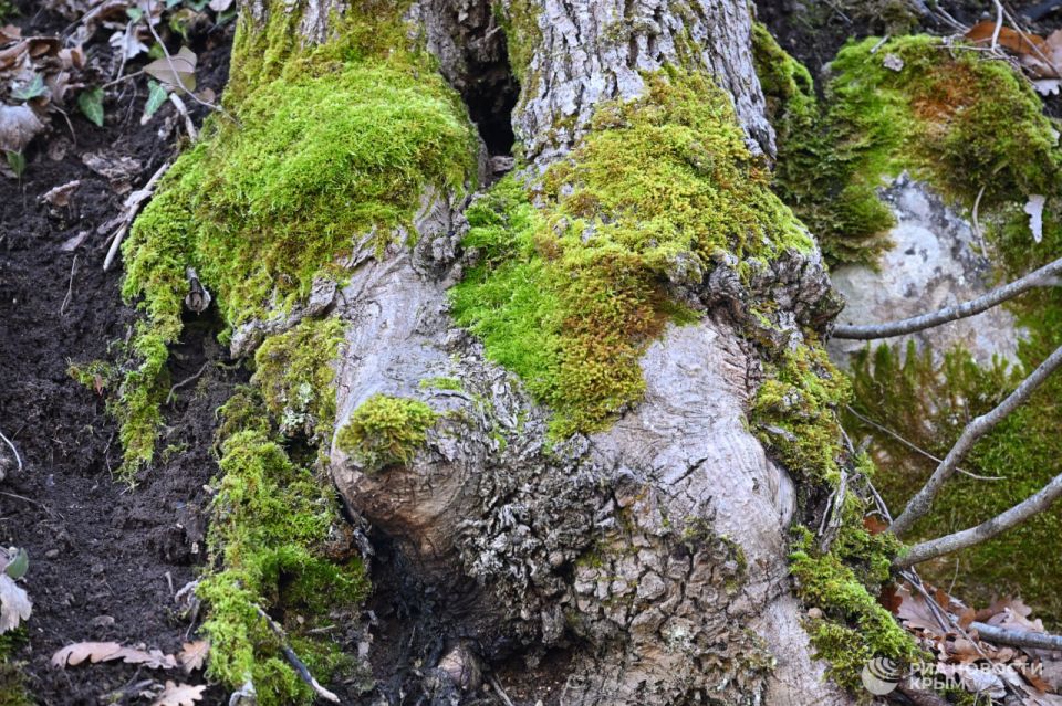 ������ �� ����� ����������� ������