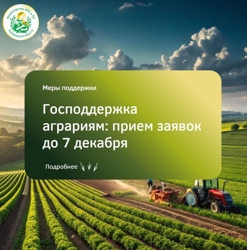 Господдержка аграриям Запорожской области: прием заявок до 7 декабря