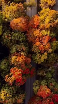 Доброе утро, Мелитопольский округ!