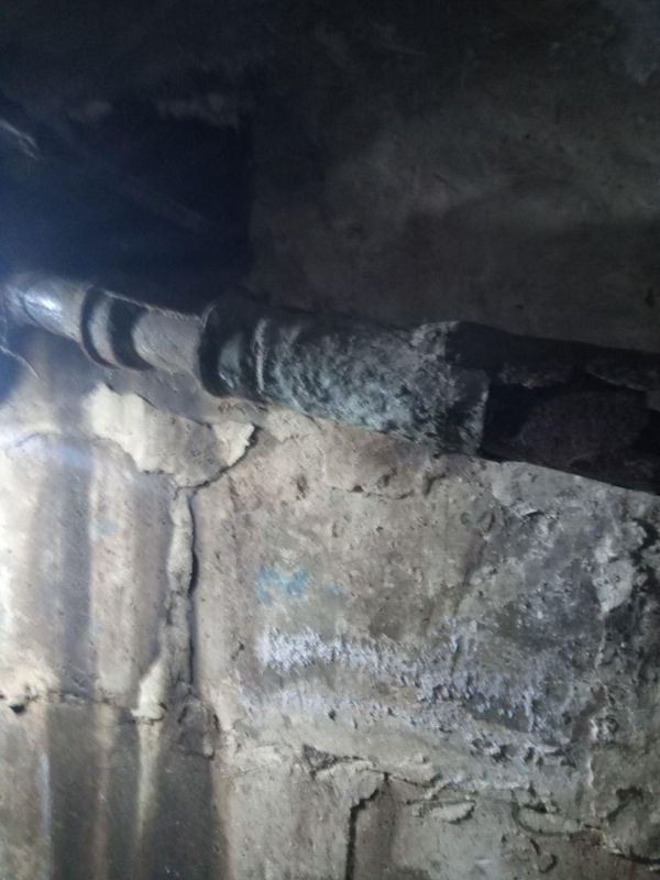 ��������� ������� ����� �� ����������� ���������� ������������� ���������� ���� � ���� ��������������