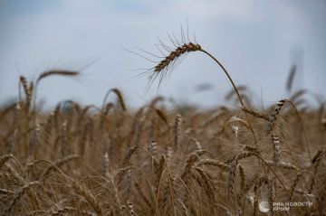 Погода на новых территориях России