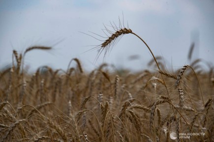 Погода на новых территориях России