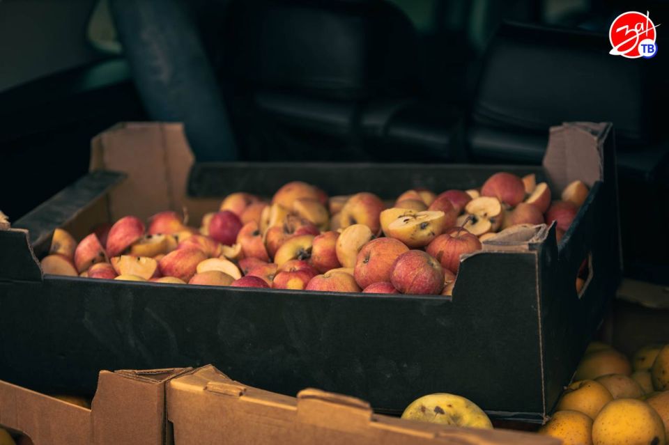 ������������ ��������������� ������ ���������-��������������� ������������ �������� ��������������� ���� ������