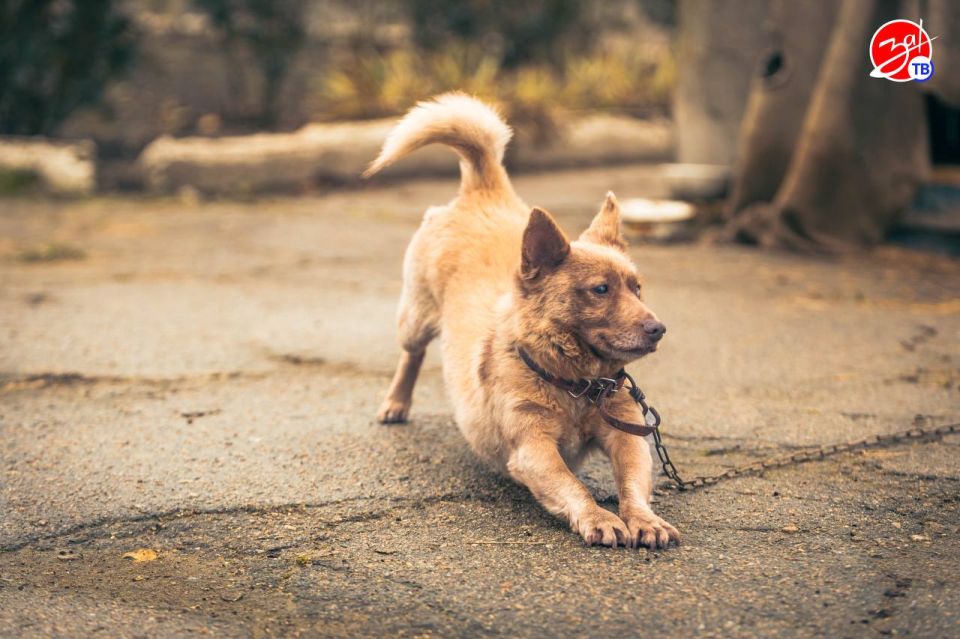 ������������ ��������������� ������ ���������-��������������� ������������ �������� ��������������� ���� ������