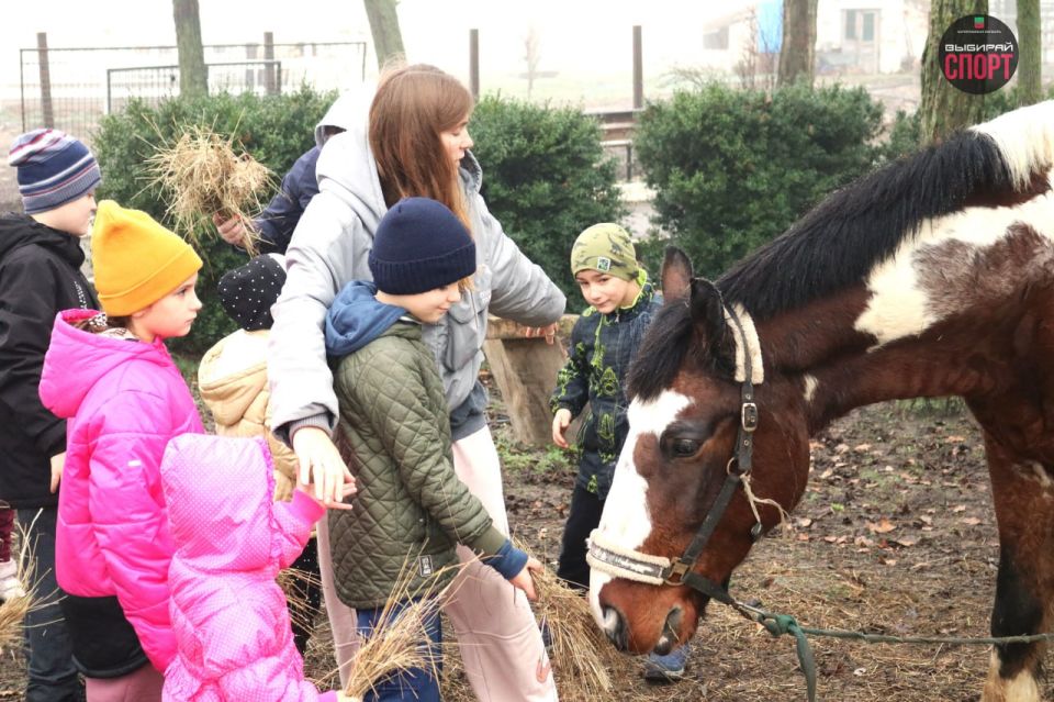 ������ �������� ��� ��������� ������