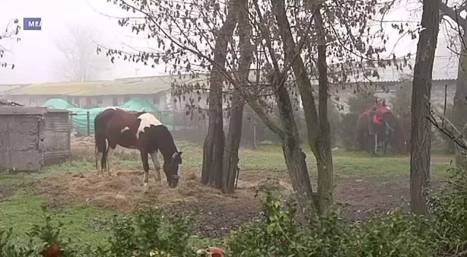 ������������ ��������������� ������ ���������-��������������� ������������ �������� ��������������� ���� ������