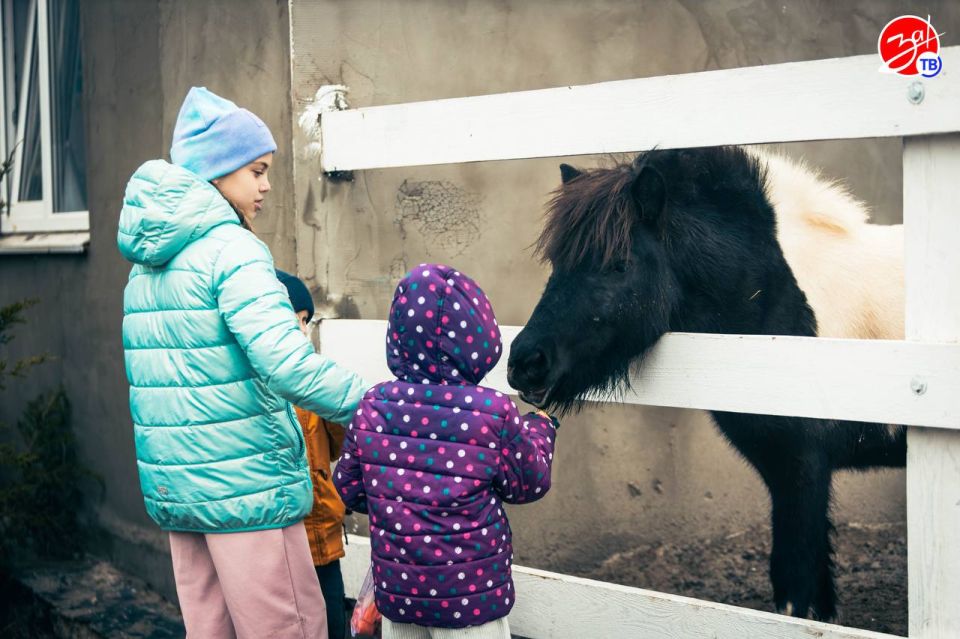 ������������ ��������������� ������ ���������-��������������� ������������ �������� ��������������� ���� ������