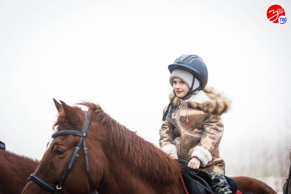 ������������ ��������������� ������ ���������-��������������� ������������ �������� ��������������� ���� ������